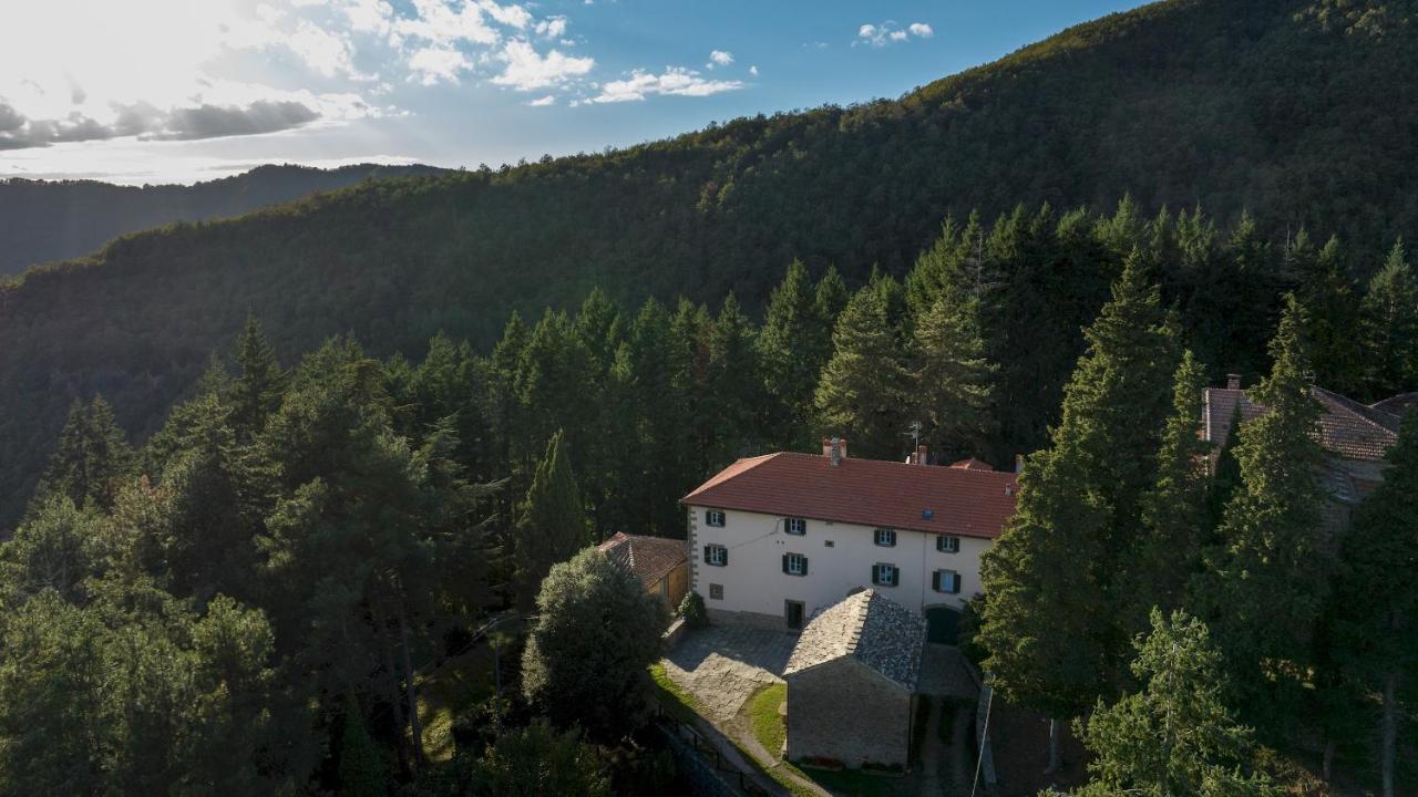 Villa La Rassinata 12, Emma Villas Arezzo Zewnętrze zdjęcie